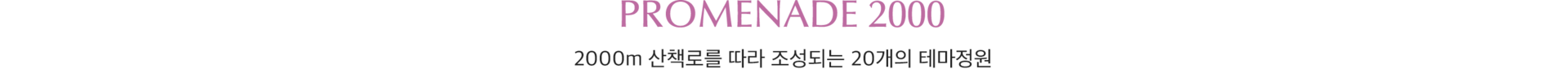 워터 플레이 그라운드 및 펫스쿨 가든